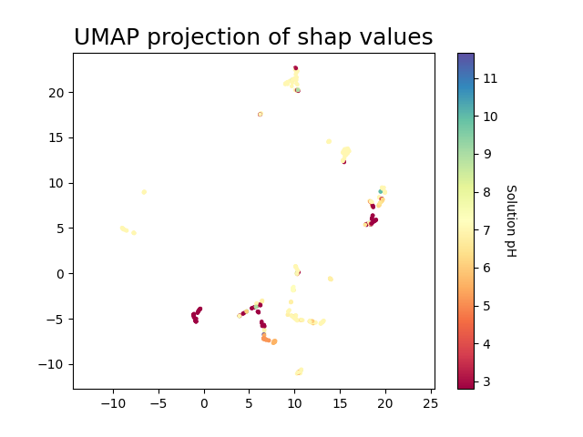 UMAP projection of shap values