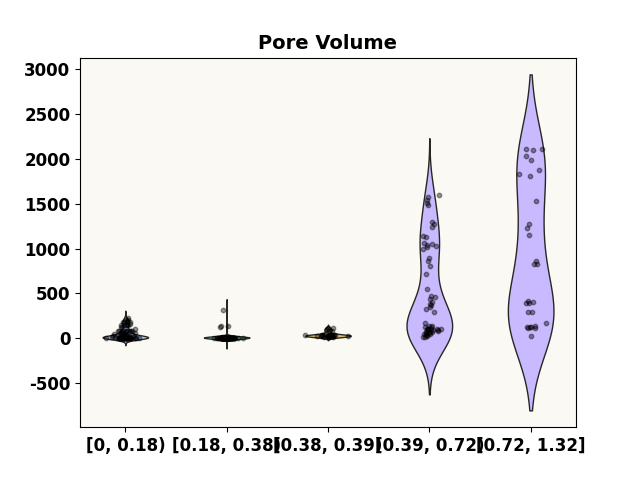 Pore Volume